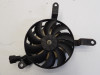 Fan Yamaha FZ6