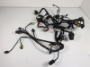 Wire Harness Ducati monster 1100