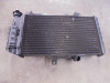 Radiateur BMW F 800 R