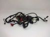 Wire Harness Honda CBR 1000 F