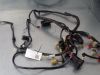 Wire Harness Honda CBR 600 F