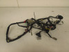 Wire Harness Honda CBR 600 F