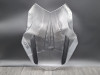 Scheibe Windschild BMW R 1250 GS