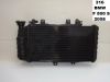 Radiator BMW F 800 S - ST