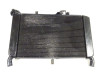 Radiator Yamaha MT 09