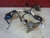Wire harness front Honda CBR 1100 XX