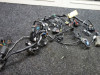 Wire Harness Kawasaki Z 800