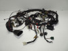 Wire Harness Aprilia Falco