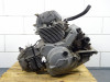 Engine Ducati monster 600