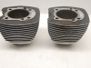 Cilinderblok Harley Davidson Softtail
