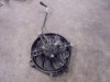 Fan Aprilia Tuono 660