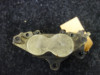 Remklauw links voor Ducati Monster S4