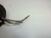 Winker left rear Kawasaki GPX 600