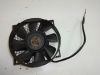 Fan Suzuki VX 800