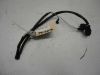 Wire Harness Kawasaki Z 1000 Sx