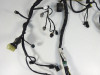 Wire Harness Kawasaki ER 6