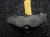 Brake caliper left front BMW R 1150 RT   R 850 RT