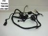 Wire Harness Yamaha TDM