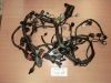 Wire Harness Kawasaki ZX 6 R