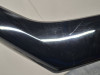 Carenado trasero BMW R 1200 R