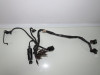 Wire harness front Moto Guzzi Nevada 750