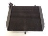Radiator Yamaha YZF R1