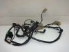 Wire Harness Honda Dylan