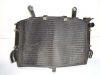 Radiator Yamaha YZF R1