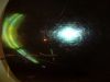 Wind screen Suzuki GSX R 600