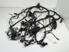 Kabelboom BMW K 1200 R 