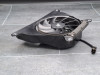 Fan Kawasaki Z 650