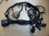 Wire Harness Honda CBR 600 F