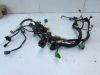 Wire Harness Suzuki Burgman 400