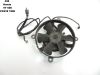 Fan Honda VT 600
