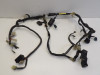 Wire Harness Yamaha FZ6