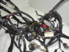 Wire Harness Aprilia Tuono 1000