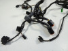 Wire Harness Kawasaki ER 6