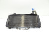 Radiateur Aprilia Tuono 1000
