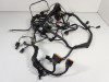 Wire Harness Kawasaki ER 6