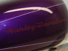 Complete kuipset Harley Davidson Softtail