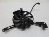 Fan Yamaha XSR 700