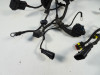 Wire Harness Ducati 749  999