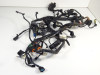 Wire Harness Kawasaki VERSYS 650