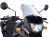 Scheibe Windschild BMW F 650 GS