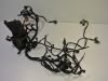 Wire Harness Honda NC 700 X