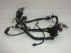 Wire Harness Yamaha TDM
