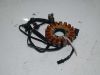 Dynamo Kawasaki ZZR 250