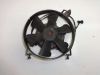 Fan Honda TRANSALP