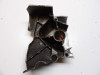 Engine cover front spocket Honda CB 250