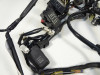 Wire Harness Kawasaki VERSYS 1000